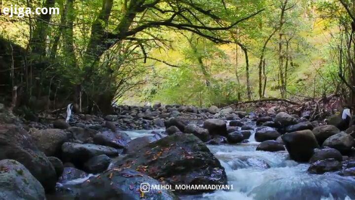 شمال بهشت ایران لحظه لحظه این ویدئو ارزش دیدن داره سپاس خالق این همه زیبایی هماهنگی جهت تبلیغات،