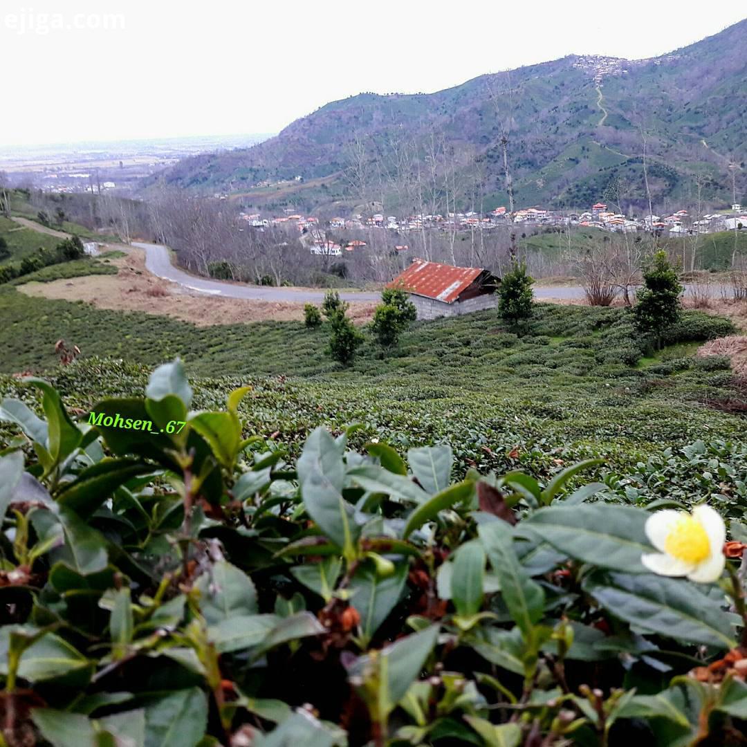 طبیعت بکر زیبای روستای ورکوره از توابع شهر رانکوه شهرستان املش با چشم  اندازی رو به دریا جنگل :: ایجیگا