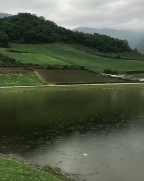 شمال بهشت ایران اولین چیزی که با دیدن تصویر به ذهنت میاد بگو بیایید با حفظ محیط زیست سرسبزی طراوت