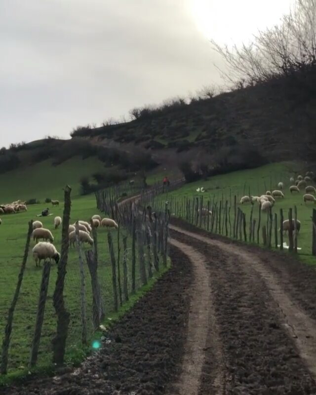 شمال بهشت ایران مطمئنم یه همچین جایی رو خیلیاتون توو فیلما کارتونای تلویزیونی دیدین ایران زیباست