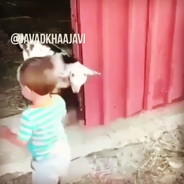 عععع چعع روعهع ببعی جی جی خارش تو کانالم هست