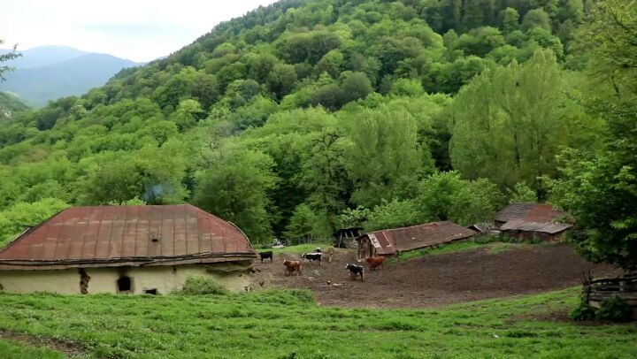 شمال بهشت ایران گاهی دلم برای یک خیال راحت تنگ میشود بیایید با حفظ محیط زیست سرسبزی طراوت را به طب