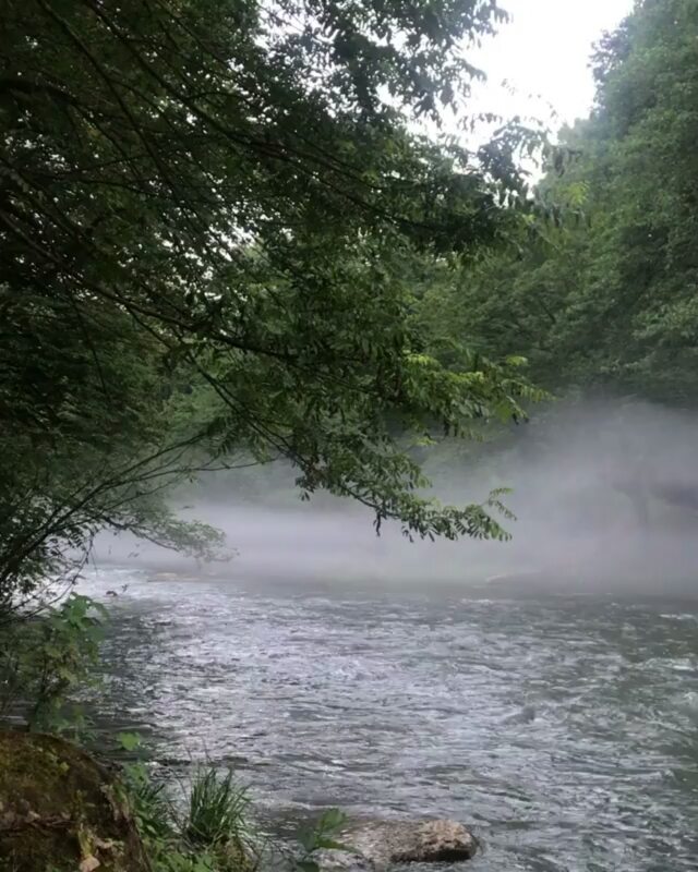 شمال بهشت ایران مگه داریم مه روی رودخونه تا به حال دیده بودید خیلی هیجان انگیز بود جالبتر اینکه تو