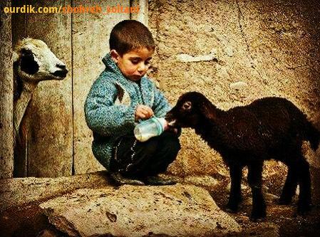 هرگز ننشین متر بزن خوبى خود را اندازه خوبى به ندانستن آن است شهره سلطانی شهره مهربانی باحیوانات مه