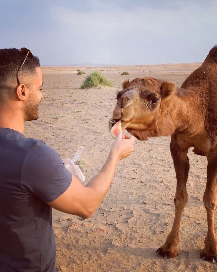 یه جورى میخوره آدم هوس میکنه sirvankhosravi sirvan camel