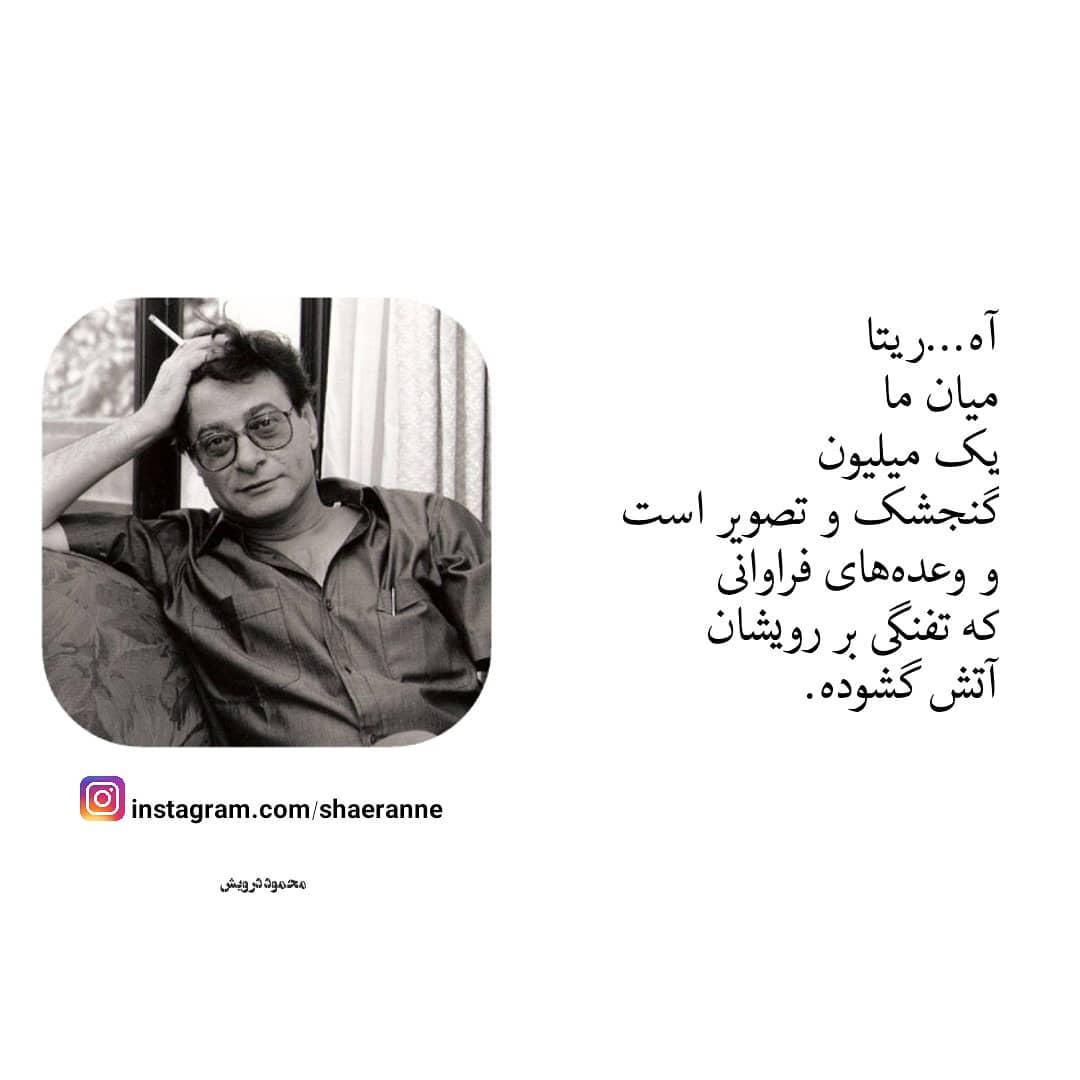 .میانِ ریتا چشمانم تفنگی ست آنکه ریتا را میشناسد، خم میشود برای خدایی که در آن چشمان عسلیست نم