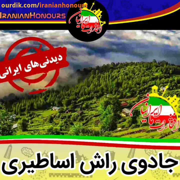 جنگل راش مازندران آی دی در بیو پیج موجود است..For lovers of autumn Rush Forest is one of the best de