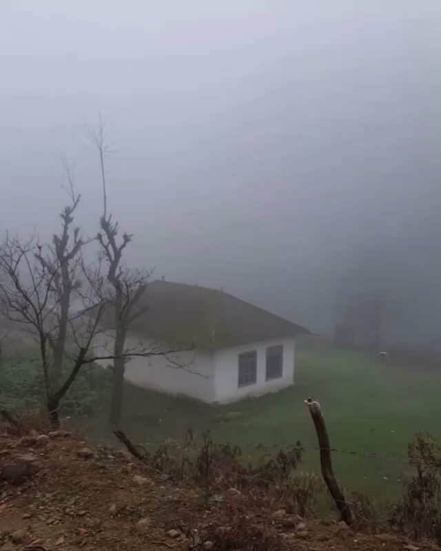 شمال بهشت ایران پیشنهاد میکنم حتما به نظر من یه خونه هرجایی میتونه باشه میتونه بالای یه ساختمون بلند