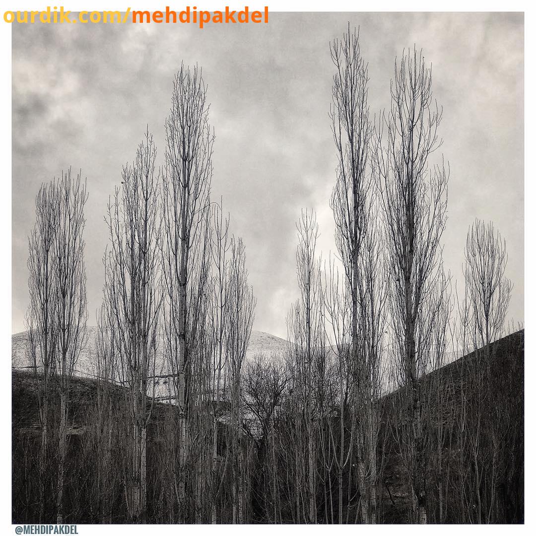 زمستان آرام آرام، حجم سنگین سپیدش را چون ملحفه ای در دستان مادر، به نرمی روی زمین می کشد ما هم چنا