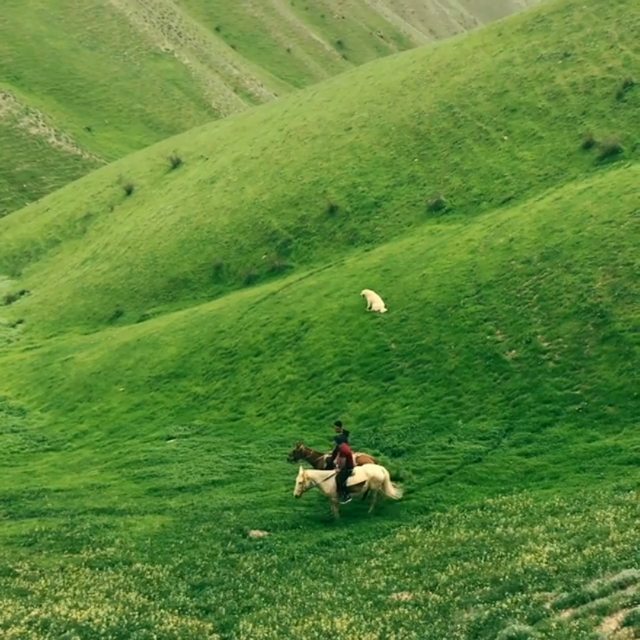 شمال بهشت ایران تصور کن، همین الان اینجا باشی اولین چیزی که به ذهنت میاد بگو با صدای بلند ببینید...