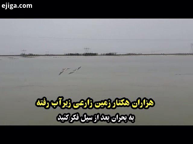 گزارش های شاهین صمدپور را راجع به وضعیت بحرانی خوزستان دیدید امروز مشغول سازماندهی نیروهای داوطلب