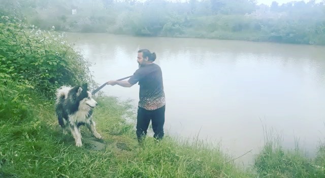 اخی دلمون خنک شد تیله توپاز همای