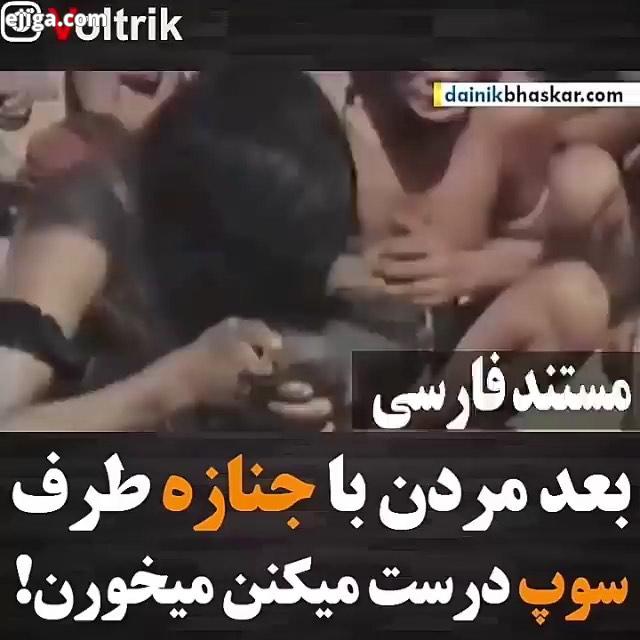 ...جالبه بدانیم گوینده متن سلمان ظاهری..به خانواده ولتریکی بپیوندید...فیلم فیلم بیلم مستند حیات وحش