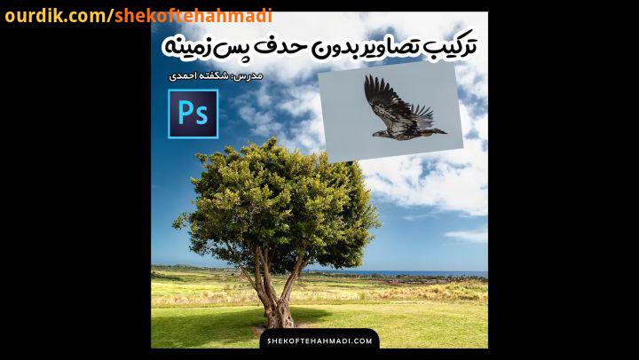 آیا شما آی دی من در تمامی شبکه های اجتماعی هست adobephotoshopcc photomanipulation editphoto shekofte