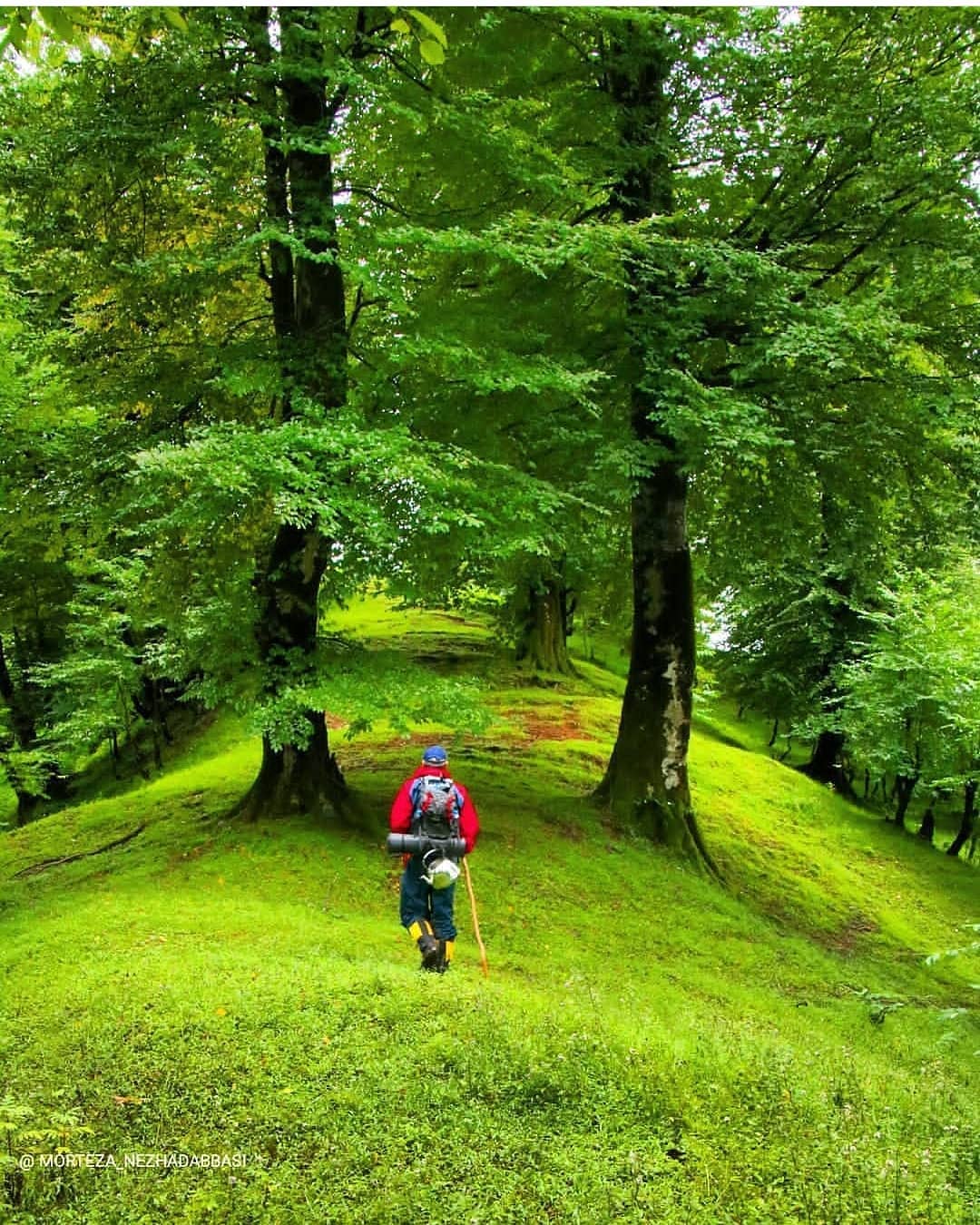 جنگل واجارگاه نظرتون چیه واجارگاه یکی از شهرهای شرقی استان گیلان است که در  بخش کلاچای شهرستان رودس :: ایجیگا