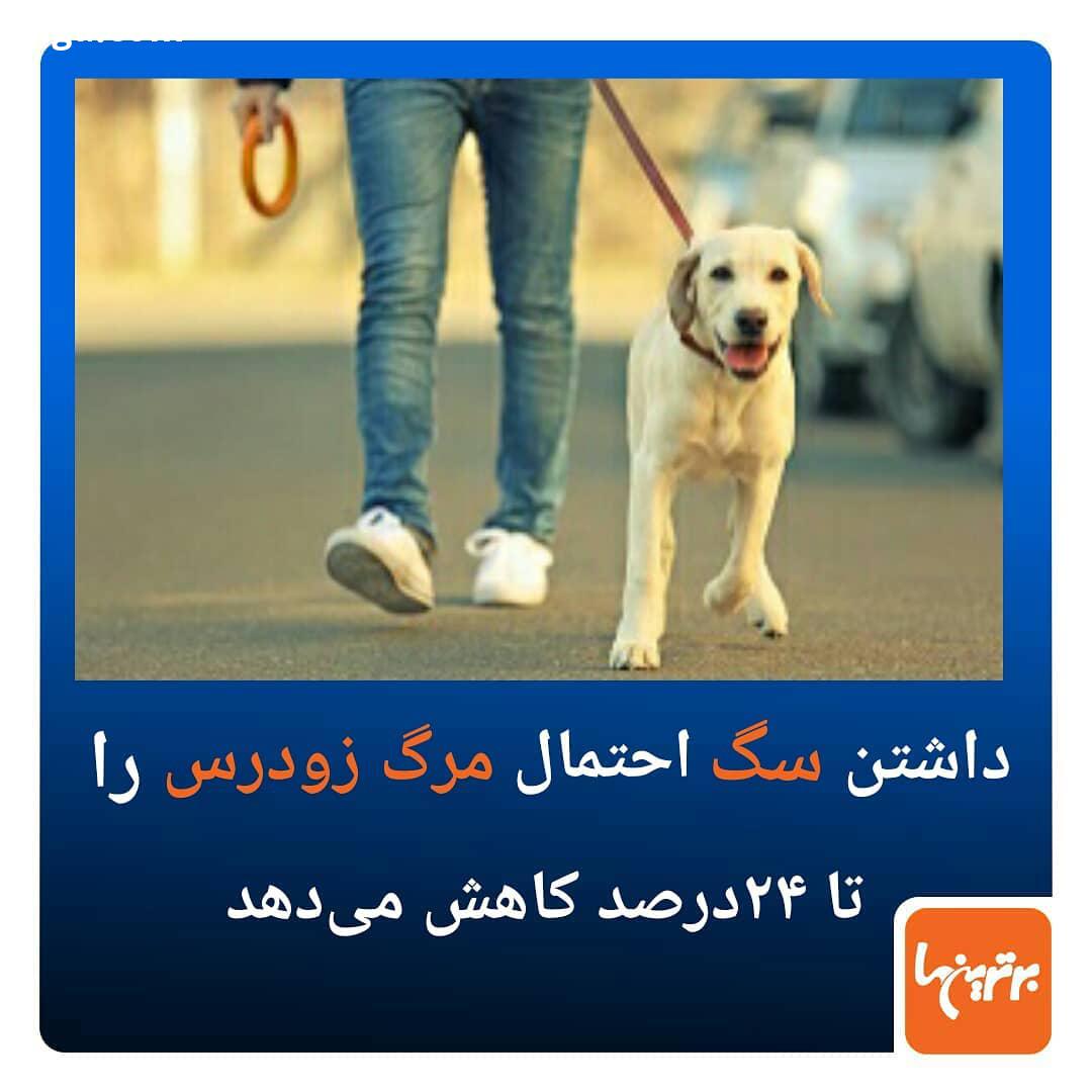 .پژوهشی بر روی حدود میلیون نفر در آمریکا، کانادا، نیوزیلند، استرالیا ، بریتانیا، کشورهای اسکاندینا
