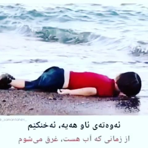 .شیرکوبیکس کورد kurd