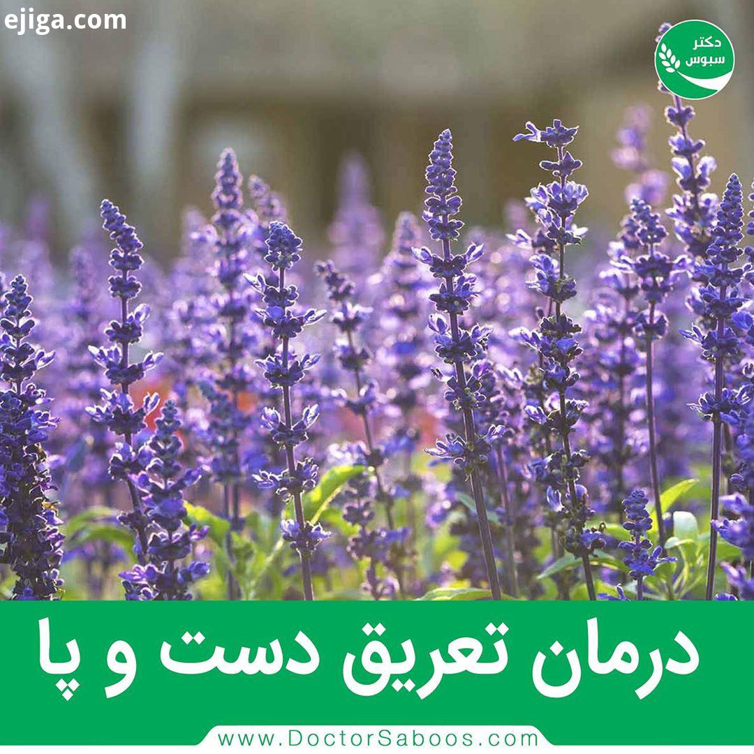 در برخی از افراد ممکن است میزان تعریق، چهار تا پنج برابر بیشتر از حد معمول باشد عرق کردن برای بدن خو