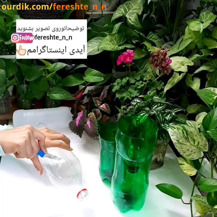 یه راه حل ساده برای جلوگیری از بی حالی قلمه هایی که در خاک میکارید