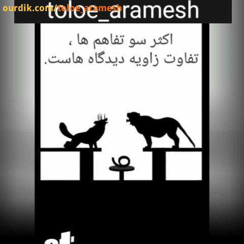 .همیشه درک درست شما از یک موضوع به معنای درک نادرست همسرتان نیست، فقط در حال نگاه کردن به یک موضوع