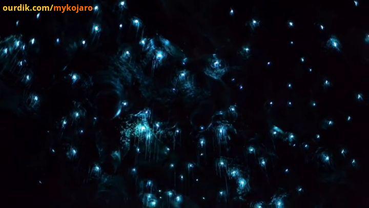 غارهای تماشایی وایتومو دارای اکوسیستمی منحصر بفرد هستند دو میلیون سال قدمت دارند، این غارها در زیر