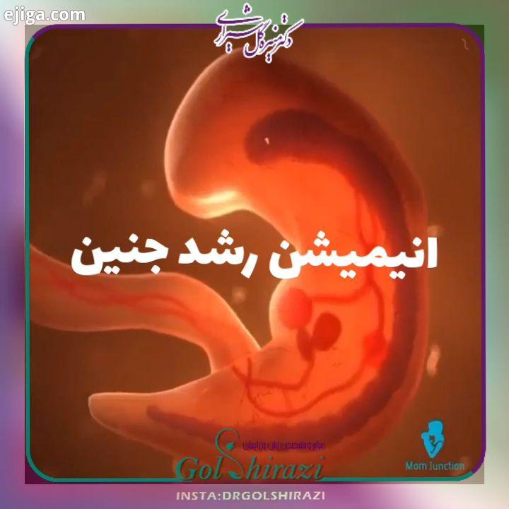 شماره تماس جهت مراجعه ویزیت حضورى: ٧٧٨٧٧٥١٣ ٠٢١ در صورت امکان صفحه اینستاگرام را دنبال کرده به