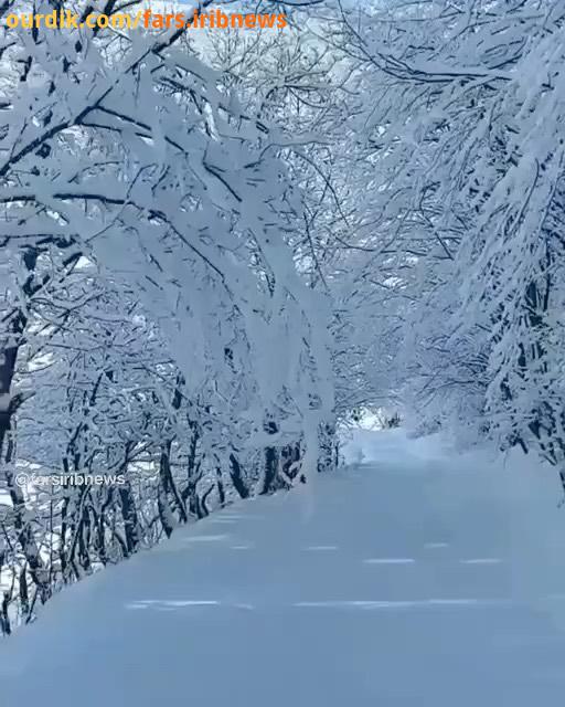 تصاویر زیبا متفاوت از دل کوچه باغهای برفی در روستای دوراه دهستان سیمکان شهرستان بوانات فارس خبرگزا