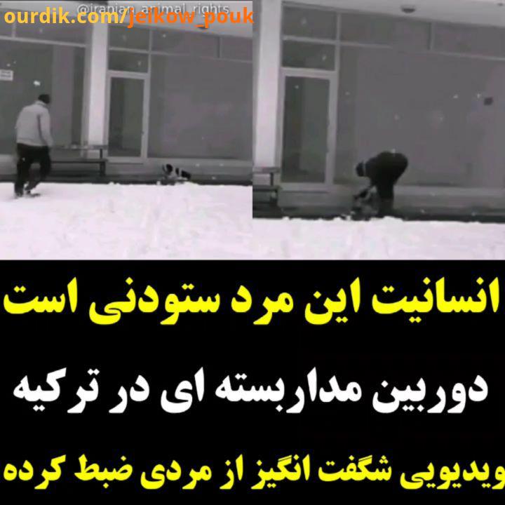 دوربین مداربسته ای در ترکیه ویدیویی شگفت انگیز از مردی ضبط کرده که در برف سرما خود را تن سگ بی