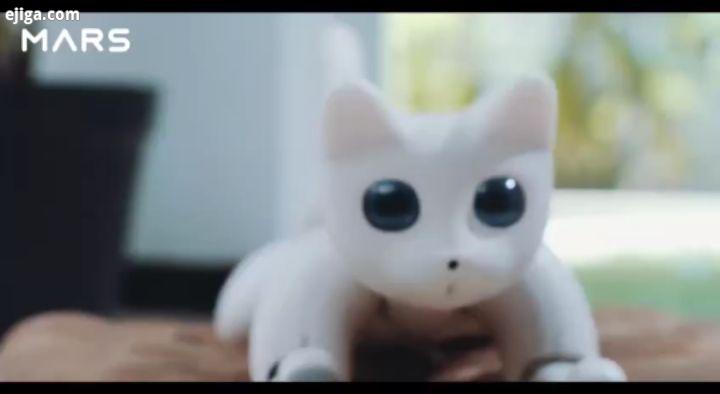.گربه رباتیکی که شخصیت آن با توجه به رفتار صاحب تغییر کرده به لمس ها صدای کاربر واکنش نشان می