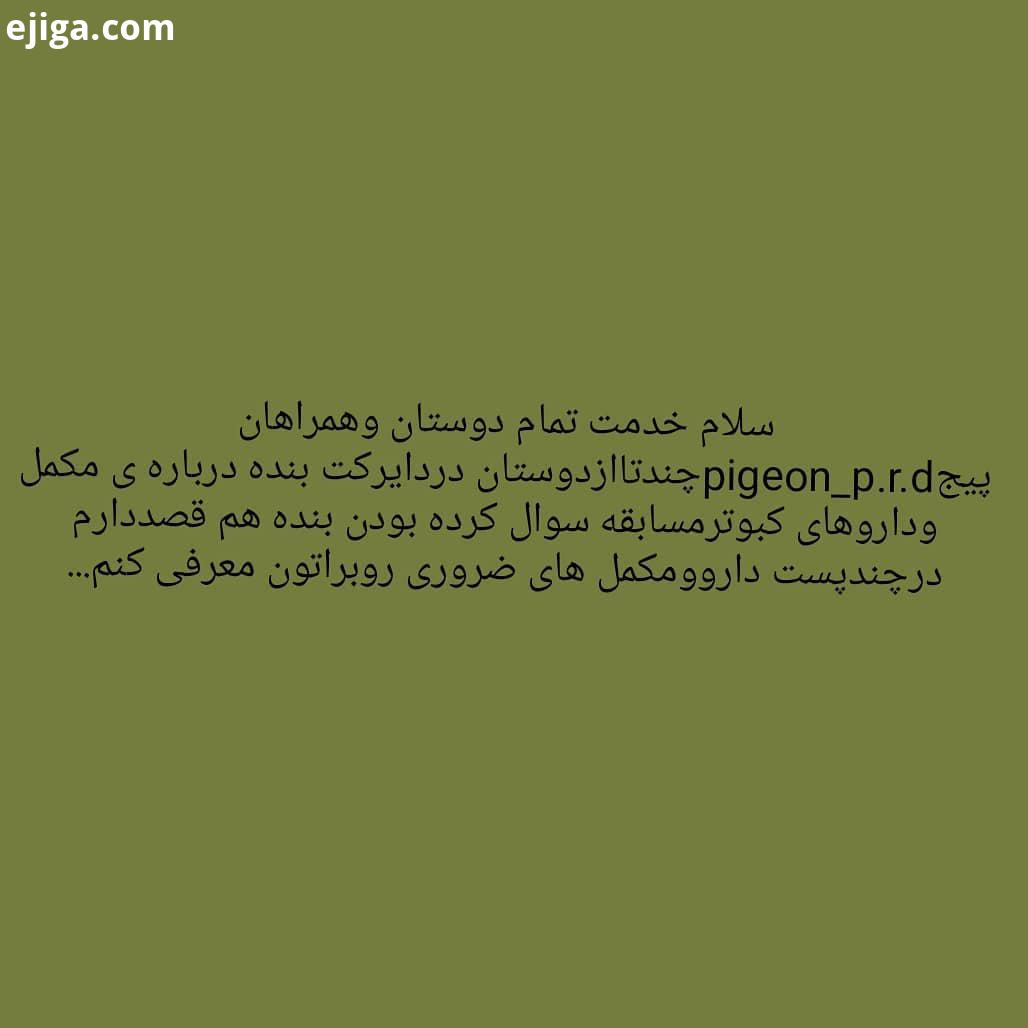 من درحدتوان خودم راهنماییتون میکنم pipa pigeons pelaki parande masafati kabotar iran2018 iran