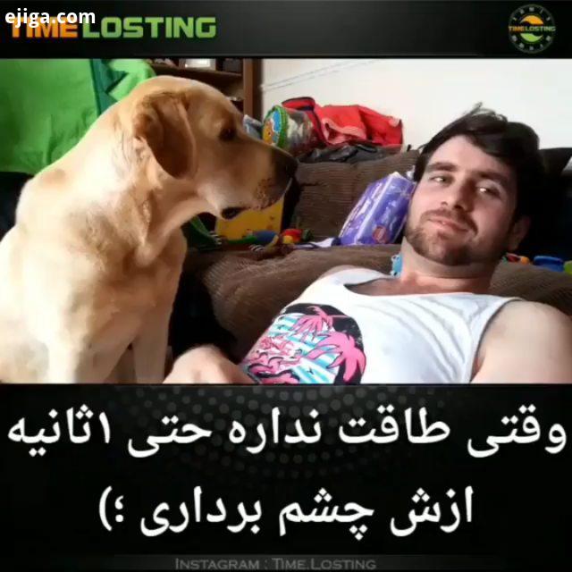 از اکسپلور میای بقیه پست هارو هم ببینید نخ سوزن هاااروووو سگ گربه پیشی حیوانات حیوون حیوان خا