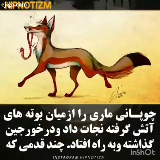 چطور بود بنظر من که عالی بود نظرتون رو کنید Cr: hipnotizm : asgharaliofficial...خدا