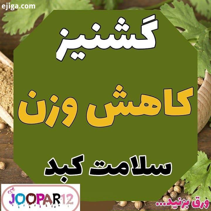 تاریخچه گیاه گشنیز گیاه یکساله، علفی از خانواده چتریان Apiaceae یا Umbelliferae است در دماهای بالا