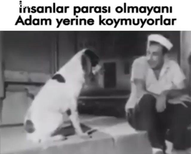 وفا شرف مرد سگ حرف حق کلمات