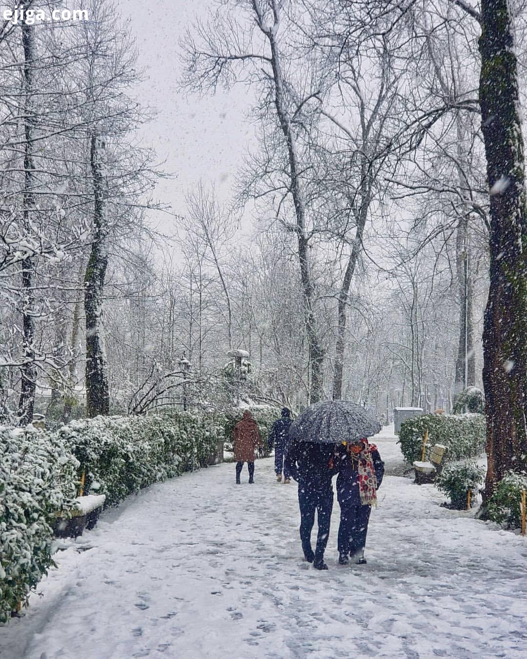 از قشنگی های رشت برفی نظرتون در مورد این تصاویر چیه مکان: گیلان، رشت Location: Rasht Gilan Provi