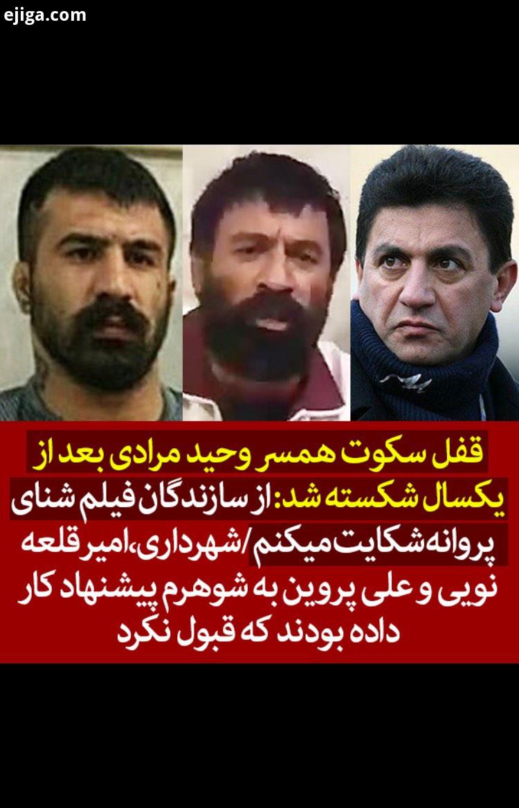 از سازندگان فیلم شنای پروانه شکایت میکنم شهرداری امیر قلعه نویی علی پروین به شوهرم پیشنهاد کار دا ایجیگا