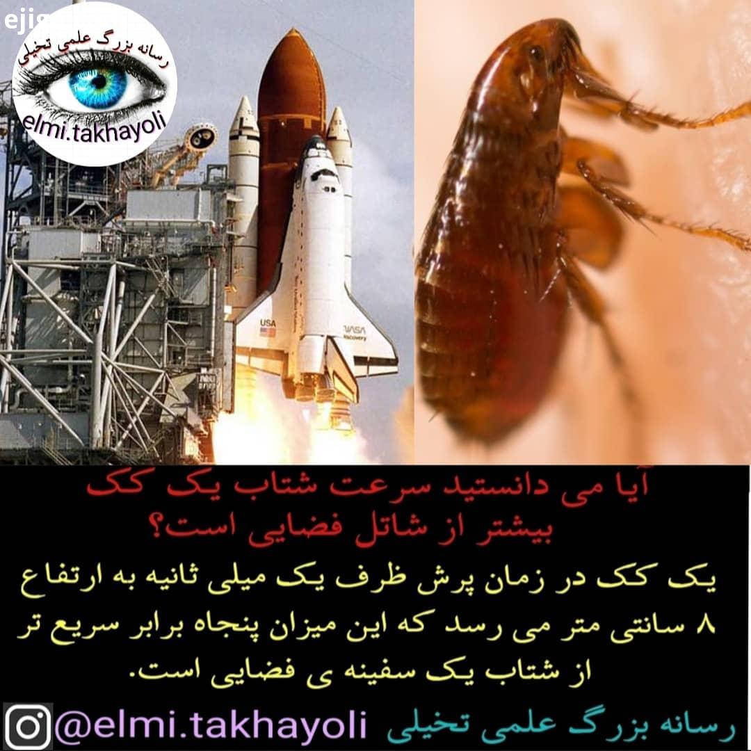 در متن عکس شتاب رو...کک شاتل فضایی سفینه فضایی سفینه سرعت شتاب فضا فضانورد ناسا علم علمی علمی تخیلی