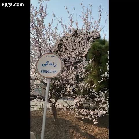 وشهرهایی که در معرض بیشتری هستید توروخدا مراقب باشید، خودتون بیشترین کمک رو میتونید به خودتون بکنید.