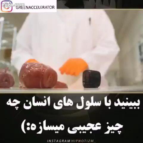 پزشکی سلول عجیب جالب خبر سبز خلاقانه علم 2020 سلول شتاب دهنده آموزش بروزرسانی سرمایه گذاری فکر خلاقی