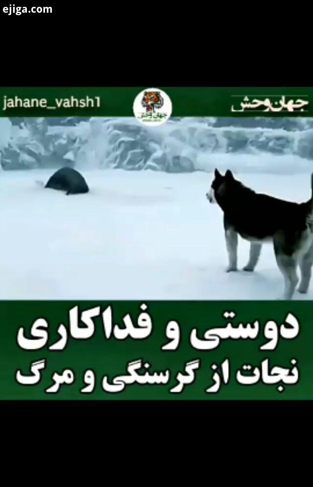 به پیج من یه سری بزنین ممنون...الناز شاکردوست بهرام رادان هستی مهدوی سینما بازیگر استقلال پرسپولیس