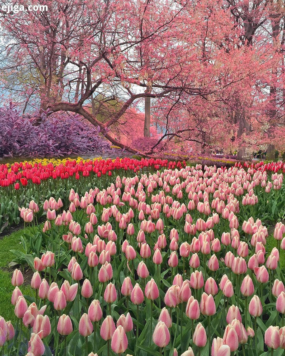 ..amazing pictures fantastic earth Natureandsweetness wonderful places awesome earthpix awesomeearth