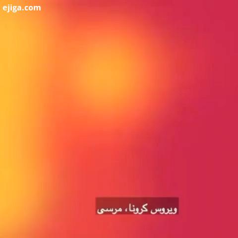کرونا خلوت با خدا کرونا کرونا ویروس کووید ١٩ خبرفوری خبرآنلاین
