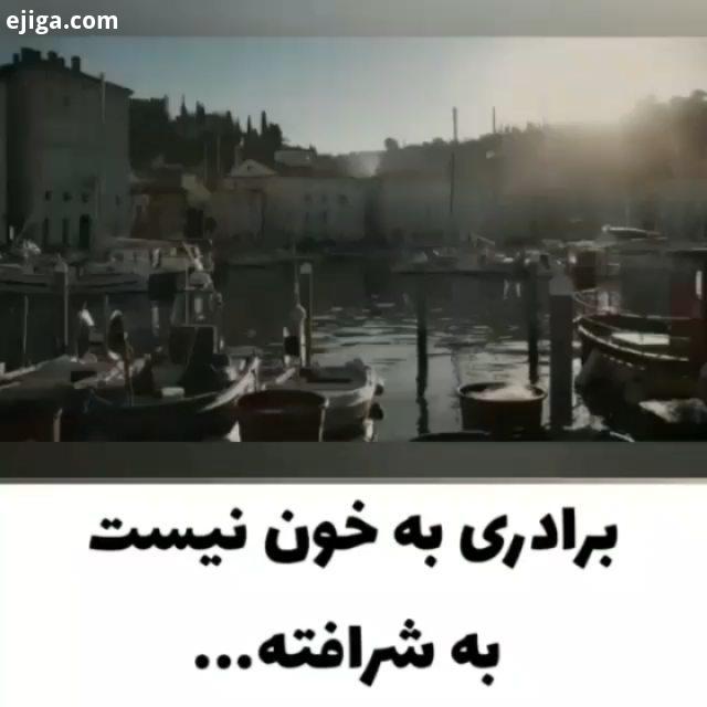 برادر یه خون نیست به شرفه...دوست برادر برادر جان داداشم داداش مشتی موزیک جدید محلی خراسانی کفتر دا