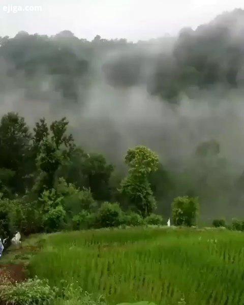 چقدر خوب که بهار شد...آدم دلش میخواهد در حصار دستان شفابخش آفتاب، رها شود چشمانش را ببندد همه را