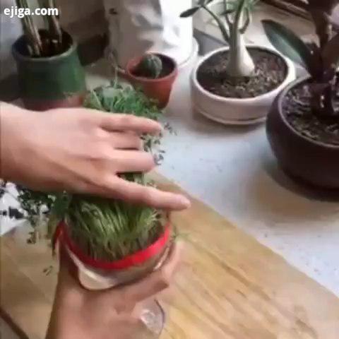ایده بگیرید کمپوست سبزه ها رو دور نریزید ازشون در تهیه کمپوست استفاده کنید خلاقیت خلاقیت های جالب ای