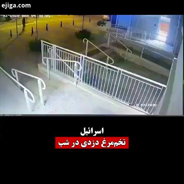 در خصوص کمبود تخم مرغ در اسرائیل مردم شروع به دزدی برای رفع نیازهای خود از جمله تخم مرغ کرده اند فور