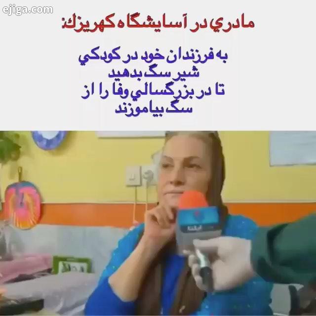 یک مادر آسایشگاه کهریزک : به فرزندان خود در کودکی شیر سگ بدهید تاشاید در بزرگسالی وفا را از سگ بیامو