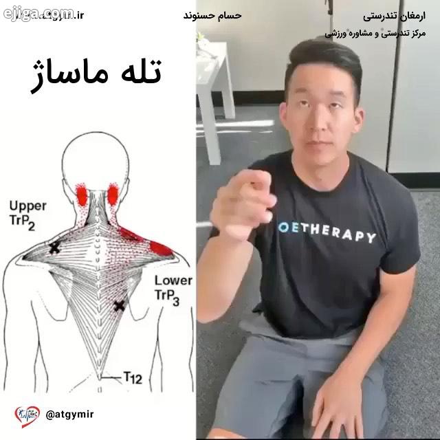 تله ماساژ شانه، این حرکت را امتحان کنید...بدنسازی فیتنس ورزش بدنسازی آقایان fitness باشگاه تهران بدن