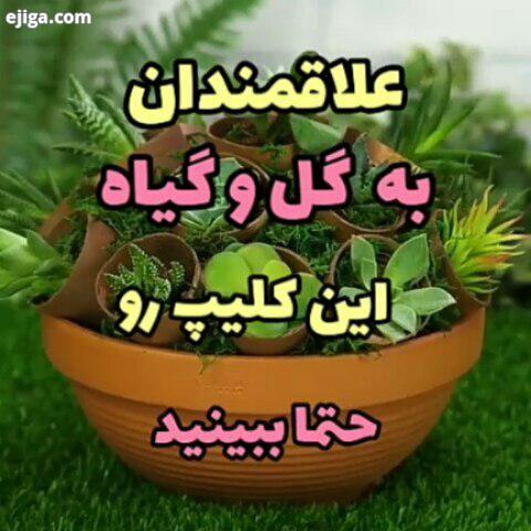 لابک هم بگذارین حتی شده یک نقطه یا استیکر ممنون Edit کاشت بذر قلمه زدن آموزش رایگا