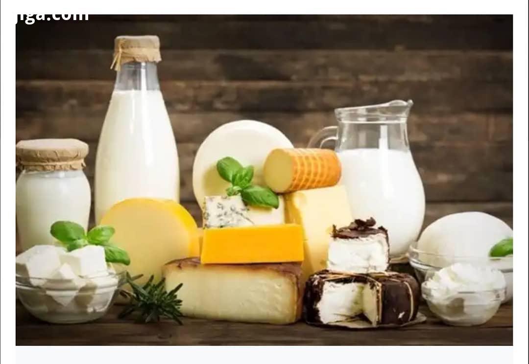 از محصولات لبنی کم چرب استفاده کنید رژیم لاغری رژیم اصولی لاغری رژیم سالم رژیم کاهش وزن رژیمی رژ